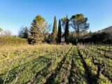  2589222-4529annonce120260724pOqAL.jpeg Maisons Open