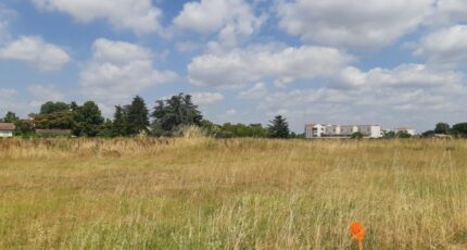 Gagnac-sur-Garonne Terrain à bâtir - 2589787-5202annonce120260724O7ds7.jpeg Maisons Open