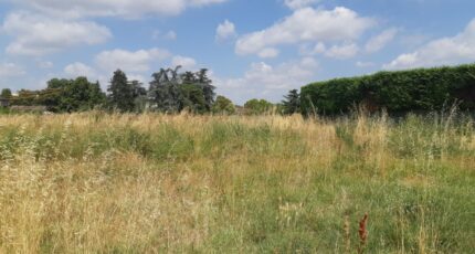 Gagnac-sur-Garonne Terrain à bâtir - 2589787-5202annonce320260724Zd5qM.jpeg Maisons Open