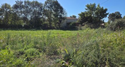 Saint-Sulpice-sur-Lèze Terrain à bâtir - 2591204-10326annonce120260727nmuA5.jpeg Maisons Open