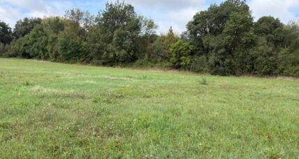 Saint-Sulpice Terrain à bâtir - 2591226-11356annonce320260727r6Cqp.jpeg Maisons Open