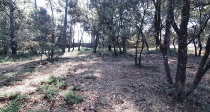 Le Thoronet Terrain à bâtir - 2591899-10295annonce2202607284cRZX.jpeg Maisons Open