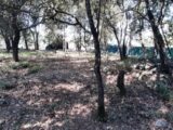  2591899-10295annonce320260728rPmAm.jpeg Maisons Open