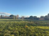  2592606-11356annonce320260729upOky.jpeg Maisons Open