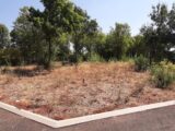  2594346-10295annonce120260731rEsJL.jpeg Maisons Open