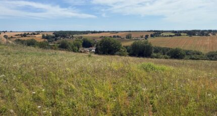 La Magdelaine-sur-Tarn Terrain à bâtir - 2570013-11356annonce320260701Ulk9k.jpeg Maisons Open