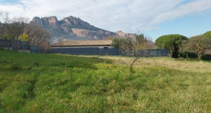 Roquebrune-sur-Argens Terrain à bâtir - 2595406-11157annonce420260803xqwPW.jpeg Maisons Open