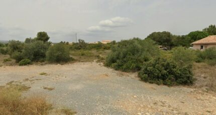 La Palme Terrain à bâtir - 2594548-692annonce120260731TsbVQ.jpeg Maisons Open