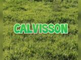  2553979-3243annonce220260617hXwEK.jpeg Maisons Open
