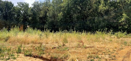 Terrain à bâtir à Plaisance-du-Touch, Occitanie