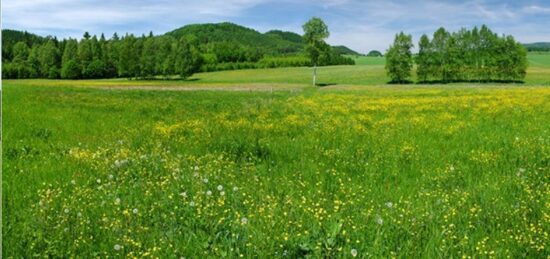 Terrain à bâtir à Fontenilles, Occitanie