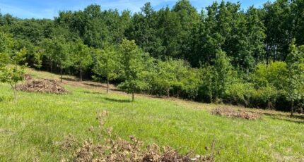 Montauban Terrain à bâtir - 2579746-11913annonce120260709zRQrx.jpeg Maisons Open