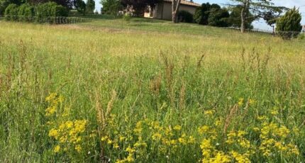 Montauban Terrain à bâtir - 2579746-11913annonce4202607090kg0F.jpeg Maisons Open