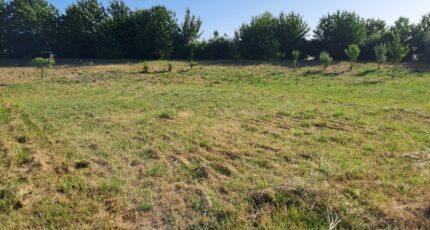 Breuillet Terrain à bâtir - 2547804-11784annonce220260615Rux6m.jpeg Maisons Open