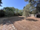  2604453-4529annonce120260819AbsvI.jpeg Maisons Open