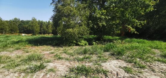 Terrain à bâtir à Mios, Nouvelle-Aquitaine