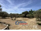  2563857-3951annonce120260625i7JlB.jpeg Maisons Open