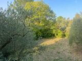  2551585-11157annonce320260616DKM0s.jpeg Maisons Open