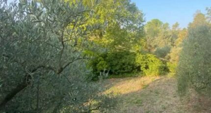 Carcès Terrain à bâtir - 2551585-11157annonce320260616DKM0s.jpeg Maisons Open