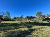  2561919-11723annonce220260623HlKTw.jpeg Maisons Open