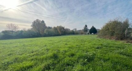 Breuil-le-Vert Terrain à bâtir - 2605685-4496annonce120260820TdXw1.jpeg Maisons Open