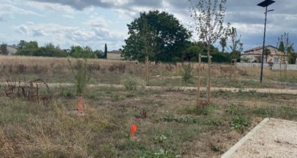 Montauban Terrain à bâtir - 2605954-11913annonce420260821faqMb.jpeg Maisons Open