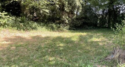 Feytiat Terrain à bâtir - 2563230-11804annonce520260624Ttba0.jpeg Maisons Open