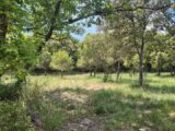  2607292-10152annonce2202608248FnkU.jpeg Maisons Open