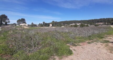 Carcès Terrain à bâtir - 2607595-10295annonce120260825ZhRIx.jpeg Maisons Open
