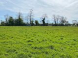 2607692-10282annonce120260825oUPaF.jpeg Maisons Open