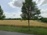  2558575-7246annonce120260213yUTk4.jpeg Maisons Open
