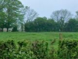  2607746-4439annonce120260825wmQDd.jpeg Maisons Open