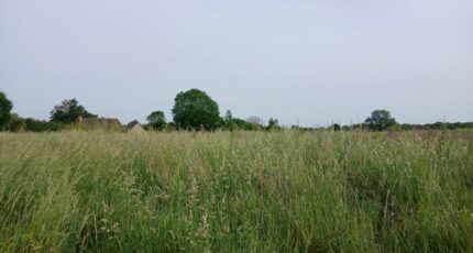 Formigny Terrain à bâtir - 2564663-11563annonce2202606252Jvv5.jpeg Maisons Open
