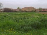  2609074-11833annonce1202608269KXHm.jpeg Maisons Open