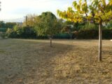  2584425-10844annonce1202607171rDP1.jpeg Maisons Open