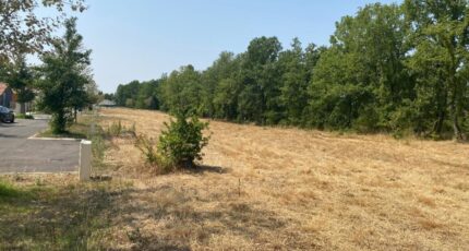 Montbeton Terrain à bâtir - 2592726-11913annonce120260729caIte.jpeg Maisons Open