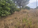  2611715-5163annonce1202608313hG1l.jpeg Maisons Open