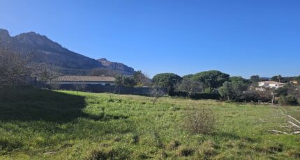 Roquebrune-sur-Argens Terrain à bâtir - 2611720-5163annonce320260831AF5sT.jpeg Maisons Open