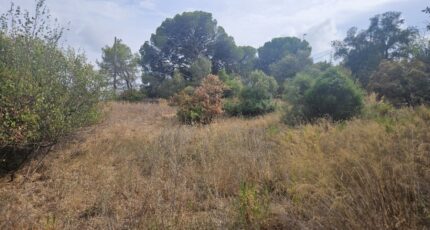 Fréjus Terrain à bâtir - 2611700-5163annonce220260831xECzv.jpeg Maisons Open