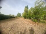  2611881-11680annonce220260831Zg6fg.jpeg Maisons Open