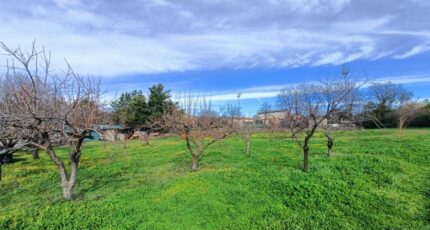 Puget-sur-Argens Terrain à bâtir - 2612049-9911annonce120260831fV3zZ.jpeg Maisons Open