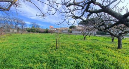 Puget-sur-Argens Terrain à bâtir - 2612049-9911annonce220260831T7986.jpeg Maisons Open