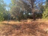  2612791-9599annonce120260901CR07T.jpeg Maisons Open