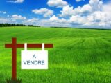  2573943-6159annonce320260703w0IDt.jpeg Maisons Open