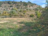  2613471-5100annonce220260901aldpy.jpeg Maisons Open