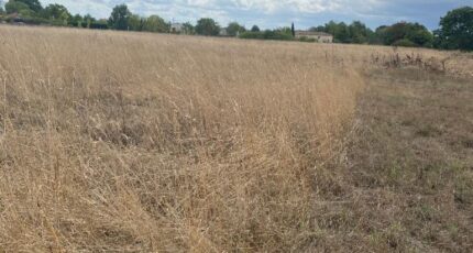 Montauban Terrain à bâtir - 2606489-11913annonce120260821nszT0.jpeg Maisons Open