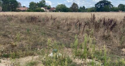 Montauban Terrain à bâtir - 2606489-11913annonce320260821PJ72c.jpeg Maisons Open