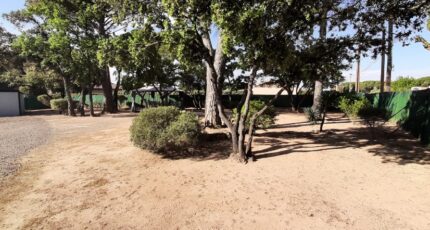 Vidauban Terrain à bâtir - 2614604-10295annonce120250619wI7OG.jpeg Maisons Open