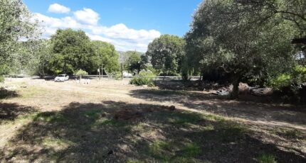 Draguignan Terrain à bâtir - 2614624-10295annonce320260422QBzFv.jpeg Maisons Open