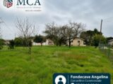  2542657-10776annonce1202606104wJk5.jpeg Maisons Open